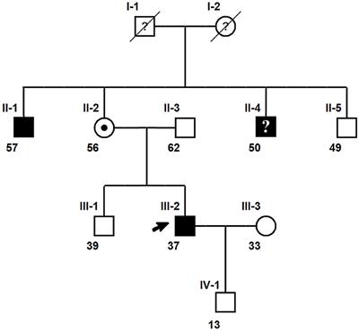 SYN1 Mutation Causes X-Linked Toothbrushing Epilepsy in a Chinese Family